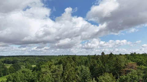 Time-lapse view of dramatic clouds drifting over a vast green forest landscape Stock Footage 341361901