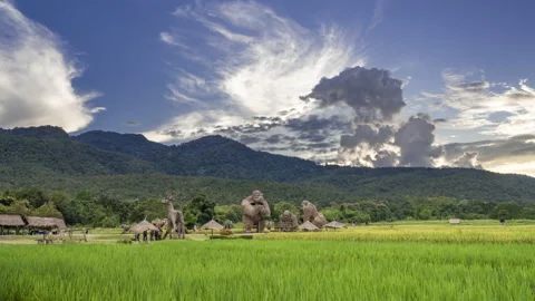 Time lapse view of famous straw animal sculptures at the rice paddy field Stock Footage 218412729