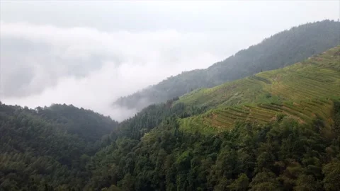 Time lapse view of Guilan Rice terraces 4k Stock Footage 172090944
