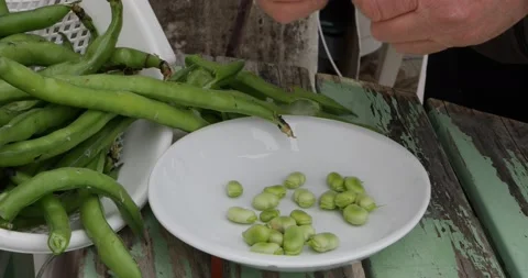 Time lapse view of hands peeling fresh broad beans from their pods and placin Vídeo Stock 152967404