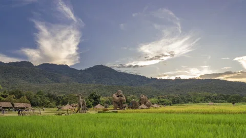 Time lapse view of Huay Thung Tao's famous large animal straw sculptures Stock Footage 218308213