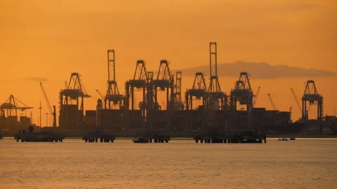 Time lapse: view of moving harbor cranes during work in the seaport Stock Footage 337055318