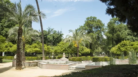 Time lapse view of Parque de Maria Luisa in Seville Video stock 64555286