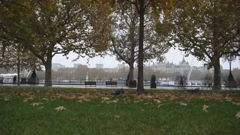 Time lapse. A view of sidewalk with pedestrians in autumn. Video stock 120366103