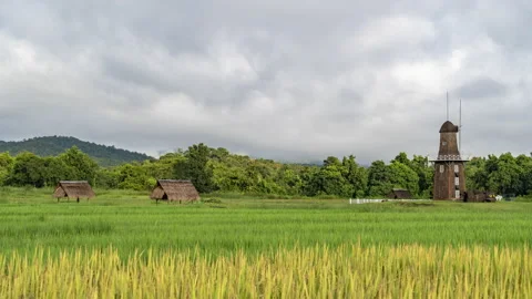 Time lapse view of straw huts and windmill at the rice paddy Stock Footage 218412251