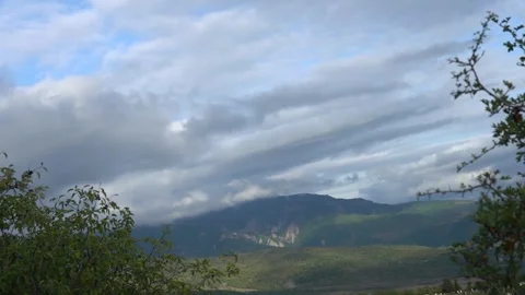 Time lapse view of summer forest with clouds Stock Footage 252957130
