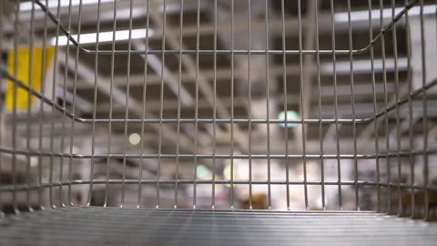 Time lapse. View through the bars of a supermarket trolley, moving ahead Stock Footage 241749718