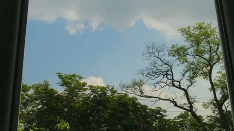 Time lapse view through a window on trees and sky with white clouds Stock Footage 99110216