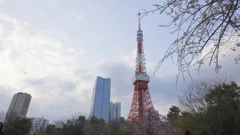 Time-lapse view of Tokyo Tower 動画素材 340413111