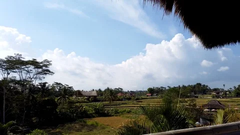 Time lapse View of Ubud Rice Terraces, Bali Stock Footage 125225829