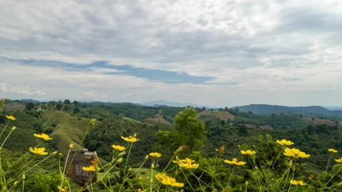 Time lapse view of white clouds moving over the mountain landscape Stock Footage 219542617