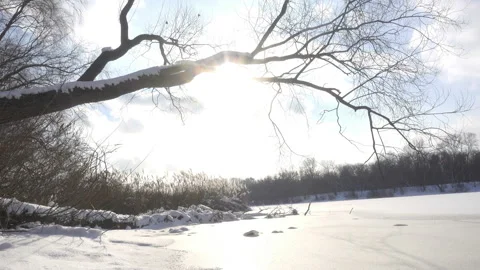 Time lapse view of the winter forest and river in 4K Stock Footage 146750426