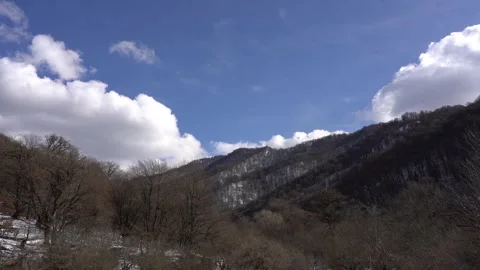 Time lapse view of winter forest with clouds and sunny Stock Footage 252957135