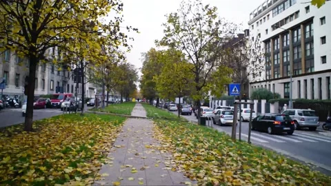 Time lapse walking in the park. Stock Footage 150106451