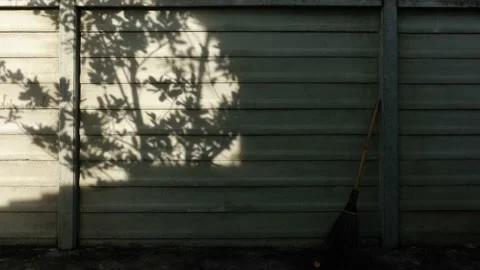 Time Lapse of Wall And Shadow of Tree Stock Footage 221688790