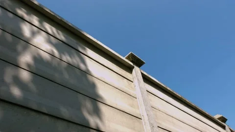 Time Lapse of Wall Shadow of Tree and sky Stock Footage 221688762