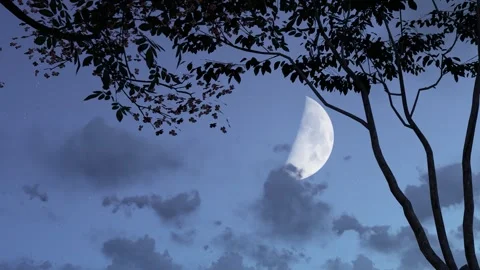 Time-lapse of the waning moon rising in the sky at night Stock Footage 276482954