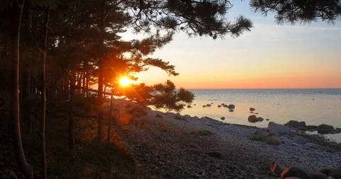 Time lapse of a warm sunset on sea behind pine trees Stock Footage 101740508