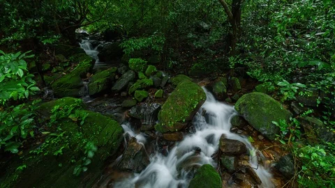Time lapse of  water flowing through  a creek Stockbeeldmateriaal 115707953