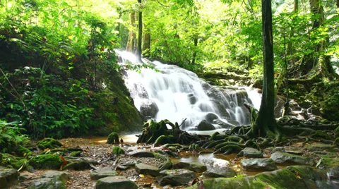 Time Lapse of Waterfall in deep forest Видео 36487023