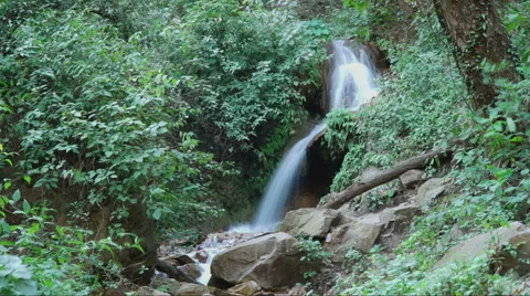 Time lapse of waterfall in the forest Stock-Footage 58495964
