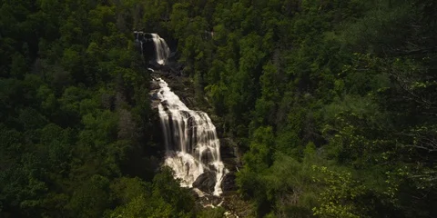 Time-lapse of waterfall over rocks amidst green forest Stock Footage 103818383