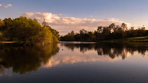Time Lapse of Waterfowl and Clouds on Lake Stock Footage 278387346