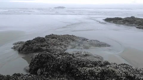 Time lapse of waves washing on Combers Beach in Pacific Rim National Park Stock Footage 1034446