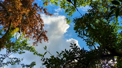 Time-lapse of weather changes in nature Stock Footage 242033119