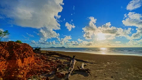 Time lapse Weathered Driftwood Scattered Across the Beach Stock Footage 341292032