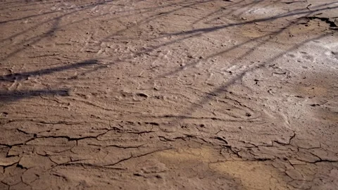 Time-lapse, wet land gradually dries and cracks. Stock Footage 158399340