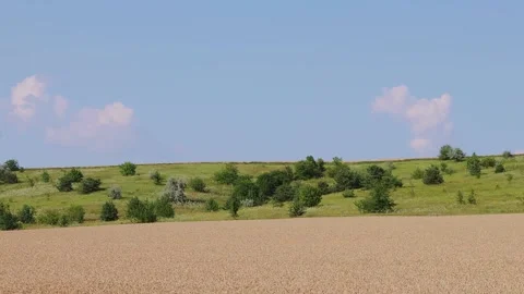 Time-lapse, wheat on a background of hills Stock Footage 157215254