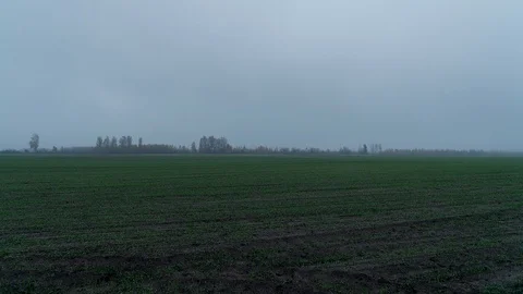 Time lapse of Wheat on the fog 스톡 동영상 127828688