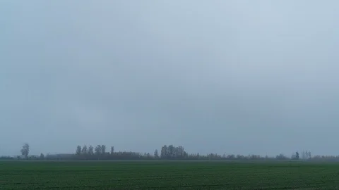 Time lapse of Wheat on the fog Stock Footage 129560842