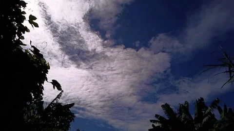 Time Lapse of White Cloud Movement on a Sunny Day Stock Footage 304565838