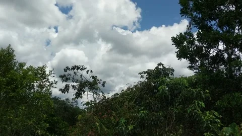 Time lapse with white clouds and blue sky Stock Footage 236744937
