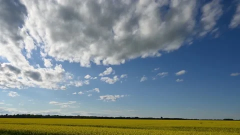 Time lapse of white clouds in a blue sky moving towards the view above a farm  Vídeo Stock 202146326