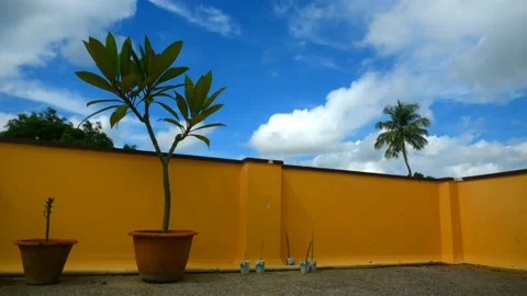 Time Lapse -White clouds cover the whole sky. Stock Footage 197114447