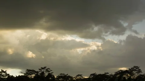 Time-lapse of white clouds floating over trees in forest, Stock Footage 107578798