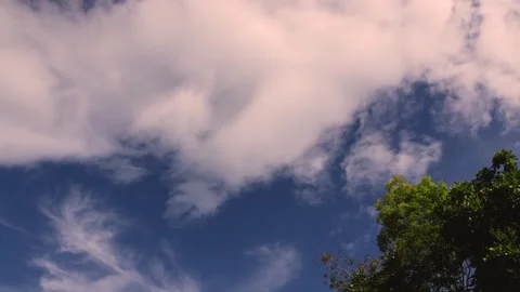 Time-lapse of white clouds forming and dissolving over the eastern Andean mou Stock Footage 305771701