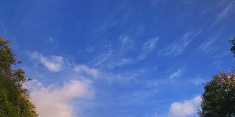 Time-lapse of white clouds move above tops of green trees Video stock 103785479