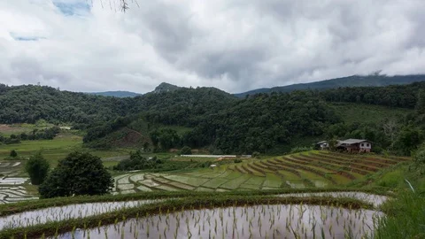 Time lapse of white clouds over rice terrace. Stock Footage 81056549