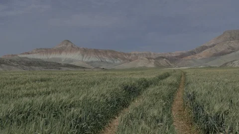 Time lapse, white clouds passing over green hills. Stockbeeldmateriaal 90358755