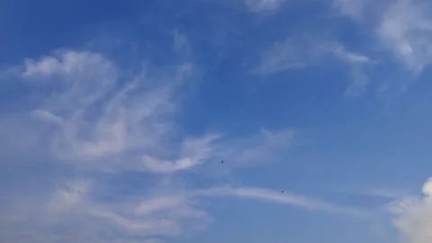 Time Lapse White clouds scattered and moving in the calm Stock Footage 308174607