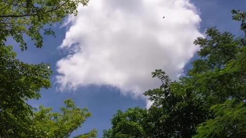 Time lapse of white clouds on the sky , 4K Sky Time lapse Stock Footage 253177213