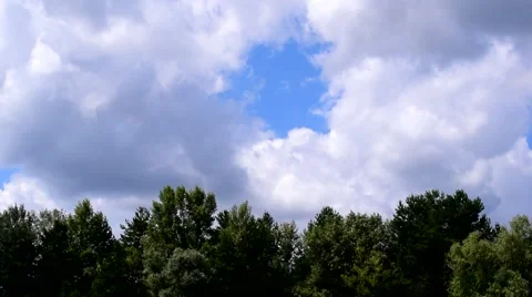 Time lapse of white cumulus clouds moving over green trees Stock Footage 66718871