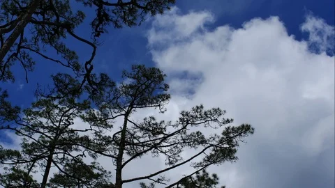 Time Lapse of White fluffy clouds in the blue sky background Video stock 95539562