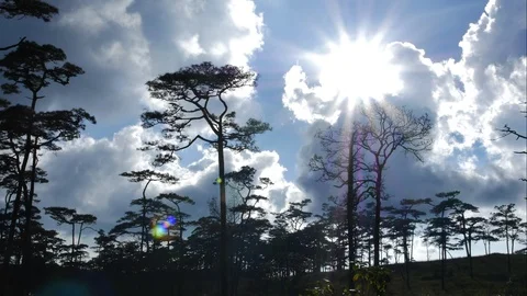 Time Lapse of White fluffy clouds in the blue sky background Stock Footage 97869292