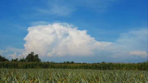 Time Lapse of White fluffy clouds in the blue sky in the countryside. Stock Footage 100012568