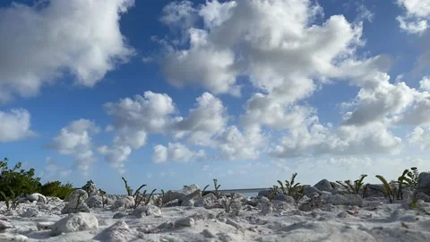 Time Lapse of white fluffy clouds flying over sand beach with small plants. Video stock 157236169